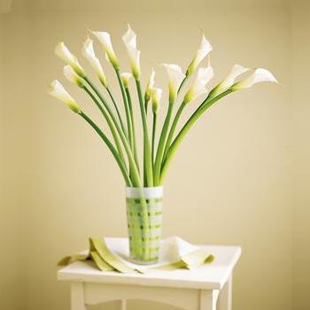Calla Lilies with Glass Vase